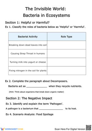 The Invisible World: Bacteria in Ecosystems Worksheet