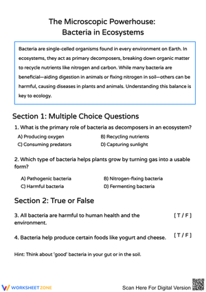 Bacteria in Ecosystems Worksheet
