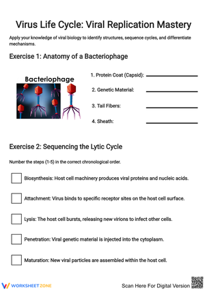Virus Life Cycle: Viral Replication Mastery Worksheet