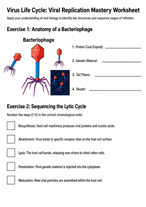 Essential Virus Life Cycle Worksheet | Grade 8-11 Science