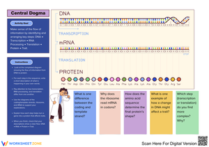 Understanding the Central Dogma of Molecular Biology