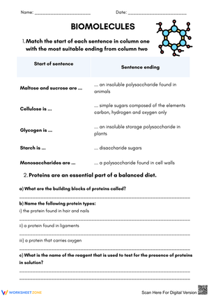 Understanding Biomolecules: Match and Identify