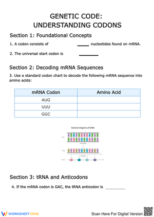 Genetic Code: Understanding Codons Worksheet