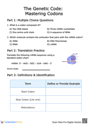 The Genetic Code: Mastering Codons Worksheet