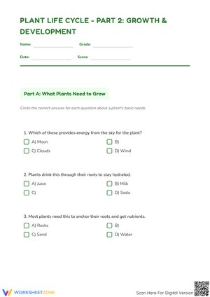 Plant Life Cycle - Part 2: Growth & Development Worksheet