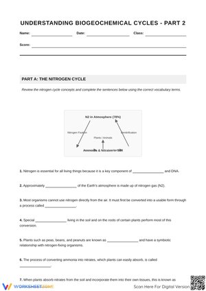 Understanding Biogeochemical Cycles - Part 2: The Nitrogen and Oxygen Cycles