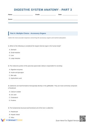 Digestive System Anatomy Part 3: Accessory Organs & Clinical Pathology Worksheet