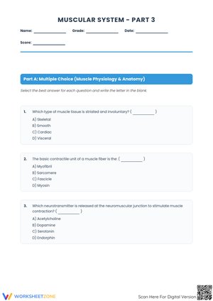 Muscular System Anatomy and Physiology Worksheet - Part 3