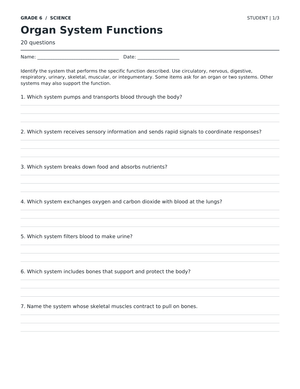 Organ System Functions Worksheet | Grade 6 Complete