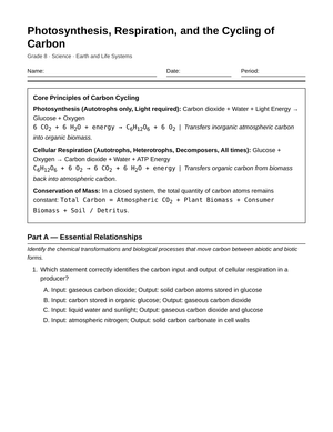 Essential Carbon Cycling Worksheet | Grade 8 Science