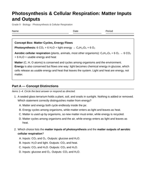 Ready Matter Inputs & Outputs Worksheet | Grade 9 Biology