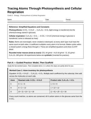 Printable Atom Tracing Worksheet | Grade 9 Biology