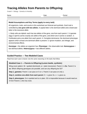 Printable Tracing Alleles Worksheet | Grade 9 Biology