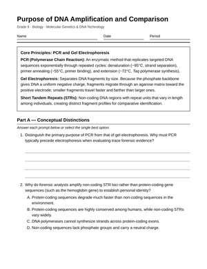 Complete DNA Amplification Worksheet | Grade 9 Biology