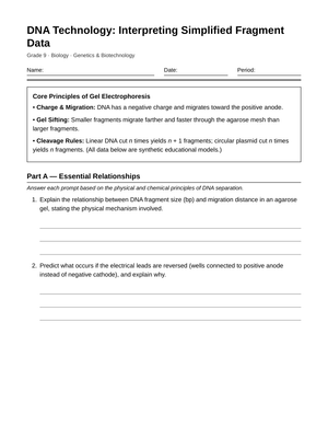 Essential DNA Fragment Data Worksheet | Grade 9 Biology