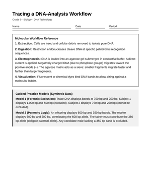 Complete DNA Analysis Workflow Worksheet | Grade 9 Biology