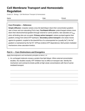 Complete Membrane Transport Worksheet | Grade 10 Biology
