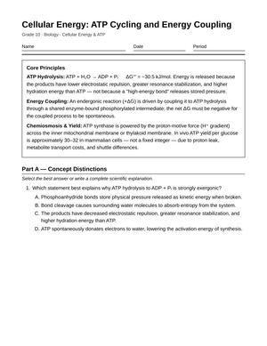 Printable ATP Cycling & Energy Coupling Worksheet