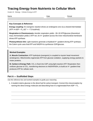 Essential Cellular Energy Flow Worksheet | Grade 10 Biology