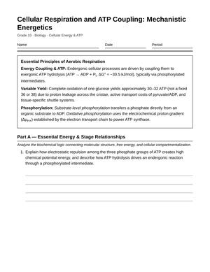 Complete Cellular Respiration Worksheet | Grade 10