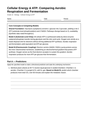 Ready Aerobic & Fermentation Worksheet | Grade 10 Biology