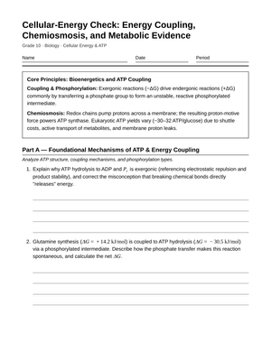 Complete Cellular Energy & ATP Worksheet | Grade 10 Biology