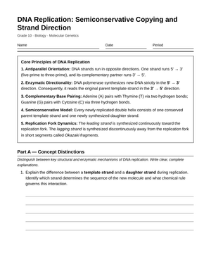 Complete DNA Strand Direction Worksheet | Grade 10 Biology