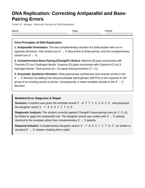 Ready DNA Base-Pairing Errors Worksheet | Grade 10 Biology