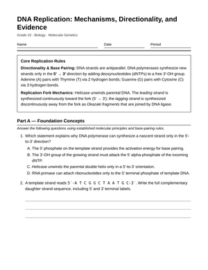 Essential DNA Replication Worksheet | Grade 10 Biology