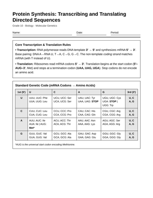 Complete Protein Synthesis Worksheet | Grade 10 Biology