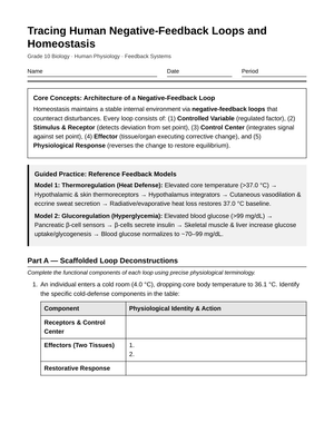 Essential Negative Feedback Worksheet | Grade 10 Biology