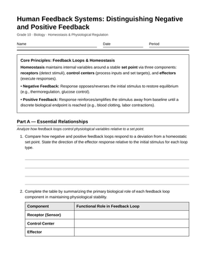 Complete Feedback Loops Worksheet | Grade 10 Biology