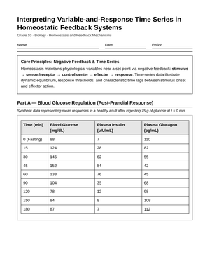 Ready Homeostasis Time Series Worksheet | Grade 10 Biology