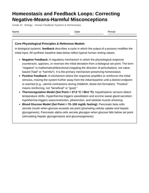 Essential Negative Feedback Worksheet | Grade 10 Biology