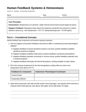 Essential Human Homeostasis Worksheet | Grade 10 Biology