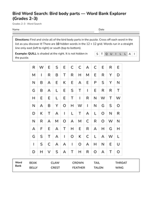 Essential Bird Body Parts Word Search | Grades 2–3 Science