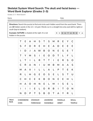 Printable Skull Bones Word Search | Grades 2–3 Science