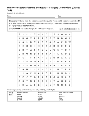 Ready Feathers & Flight Word Search | Grades 3–4 Science