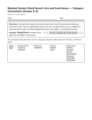 Complete Arm & Hand Bones Word Search | Grades 3–4 Science