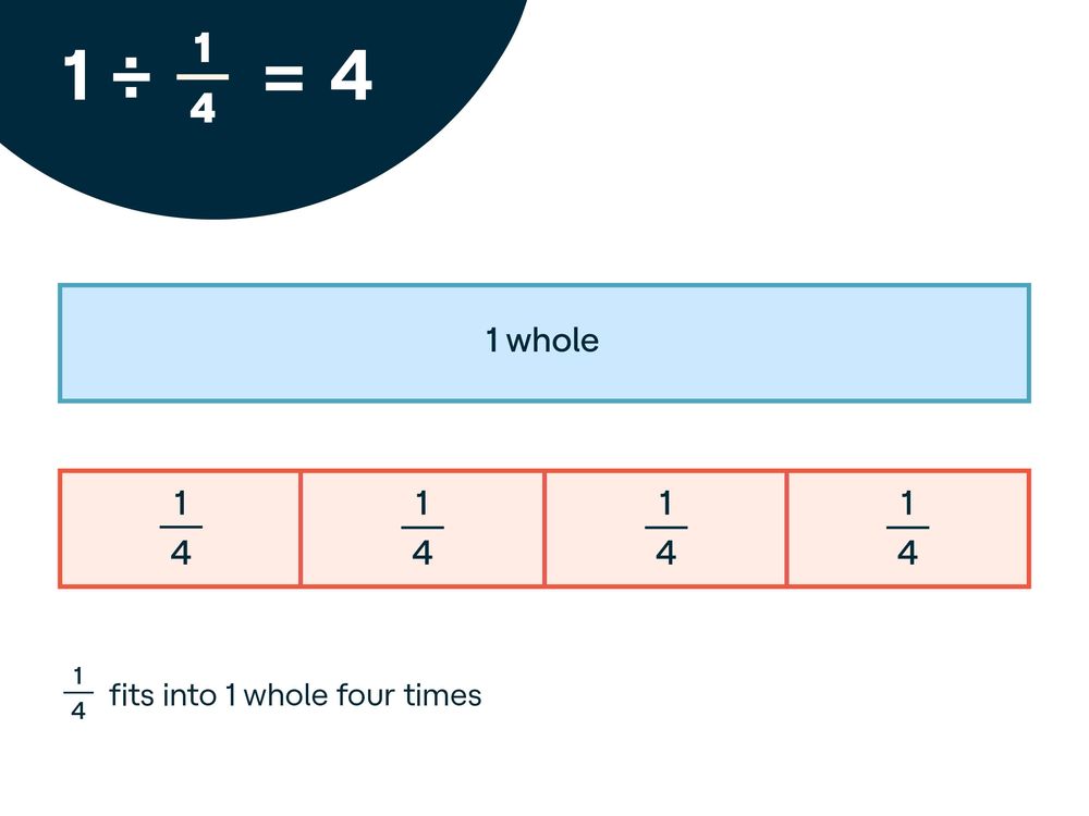 Divide whole numbers by unit fractions using models