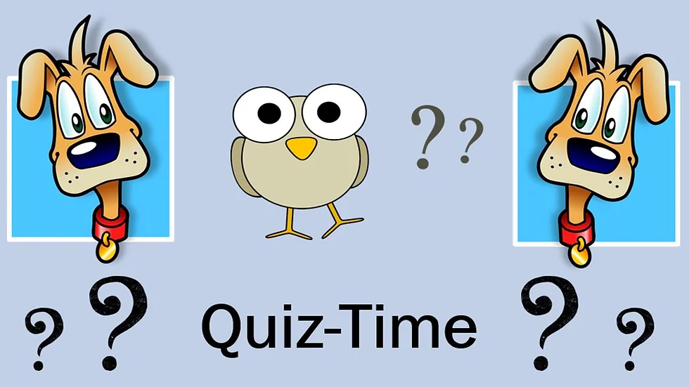 Sight Words Quiz 