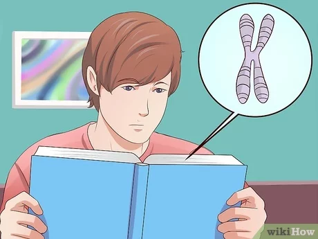 Punnett Square Practice Worksheet | Genetics Review