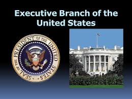 Executive Branch Quiz: President's Role & Powers