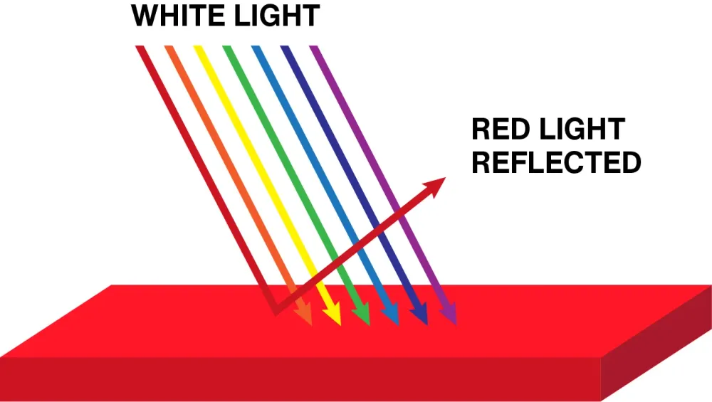 Color Reflection & Absorption Quiz