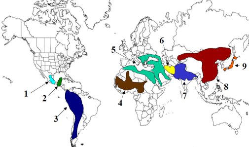Religions and Empires