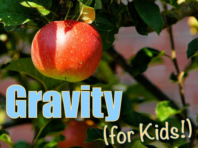 Free Printable Gravity Worksheets For Teaching &amp; Learning