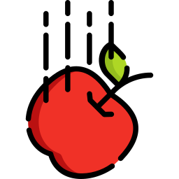 Identify Gravity Quiz