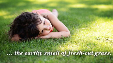 Sensory Language Practice