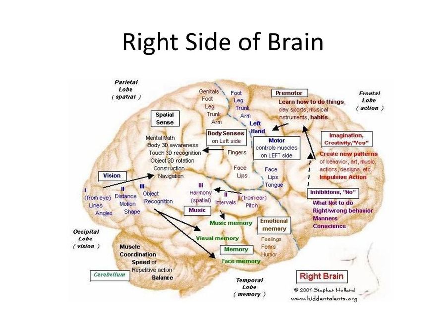 S2 U2 Feeling Good? - Reading - The Teenage Brain