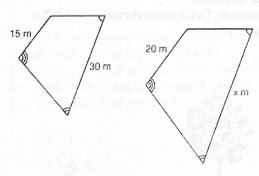 Math Ratios: Scale Drawings and Proportions
